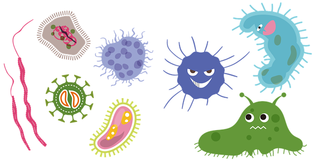 장마철 습기 곰팡이