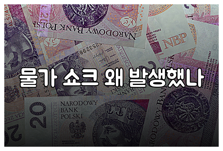 물가 쇼크 왜 발생했나