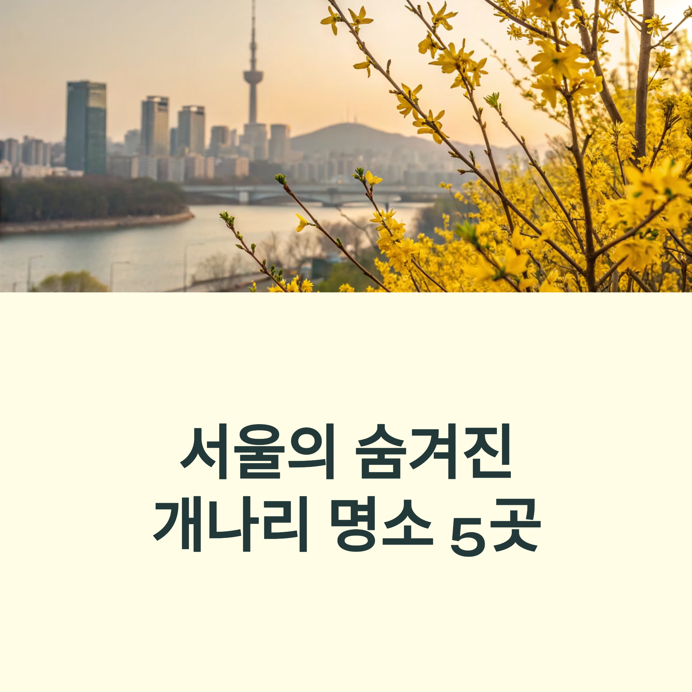 서울 개나리 명소 추천! 응봉산 말고 여기도 꼭 가보세요