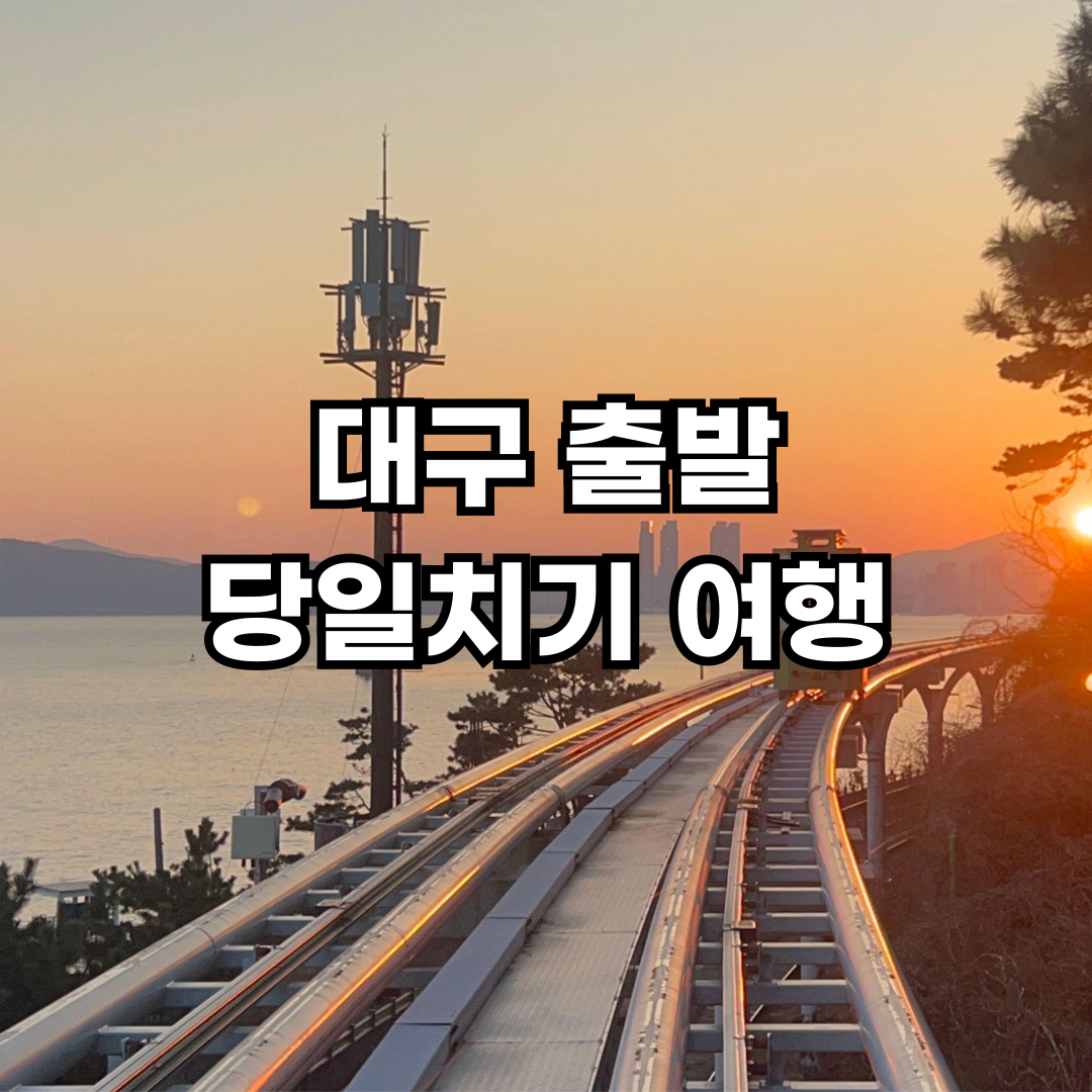 대구 출발 당일치기 여행 추천