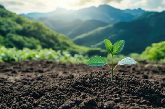 러브버그, 익충인가 해충인가?