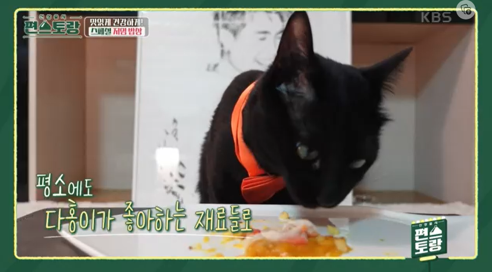 편스토랑-박수홍-무염치즈-레시피