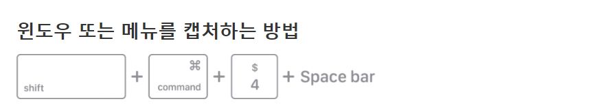 Shift Command 4 누른 뒤 스페이스바로 창 캡쳐하는 방법