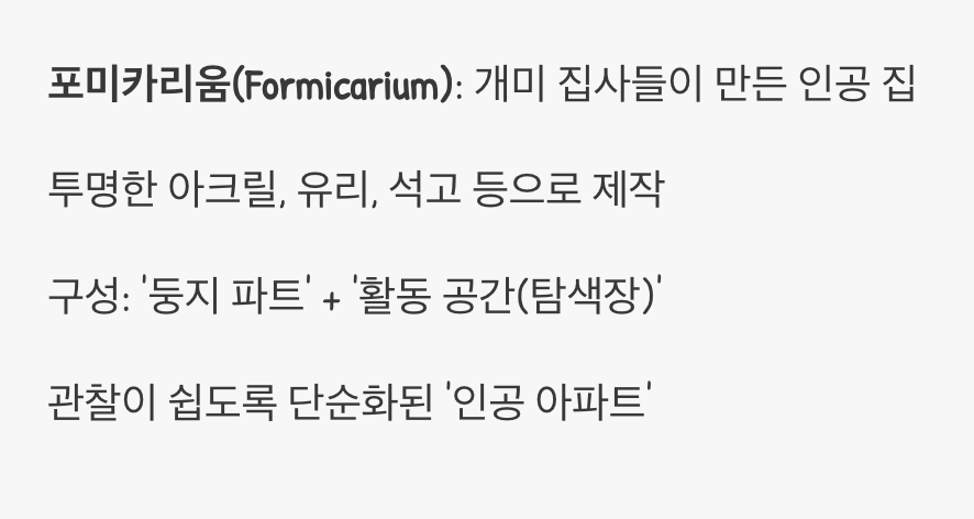 개미를 위한 인공 아파트, 개미사육장