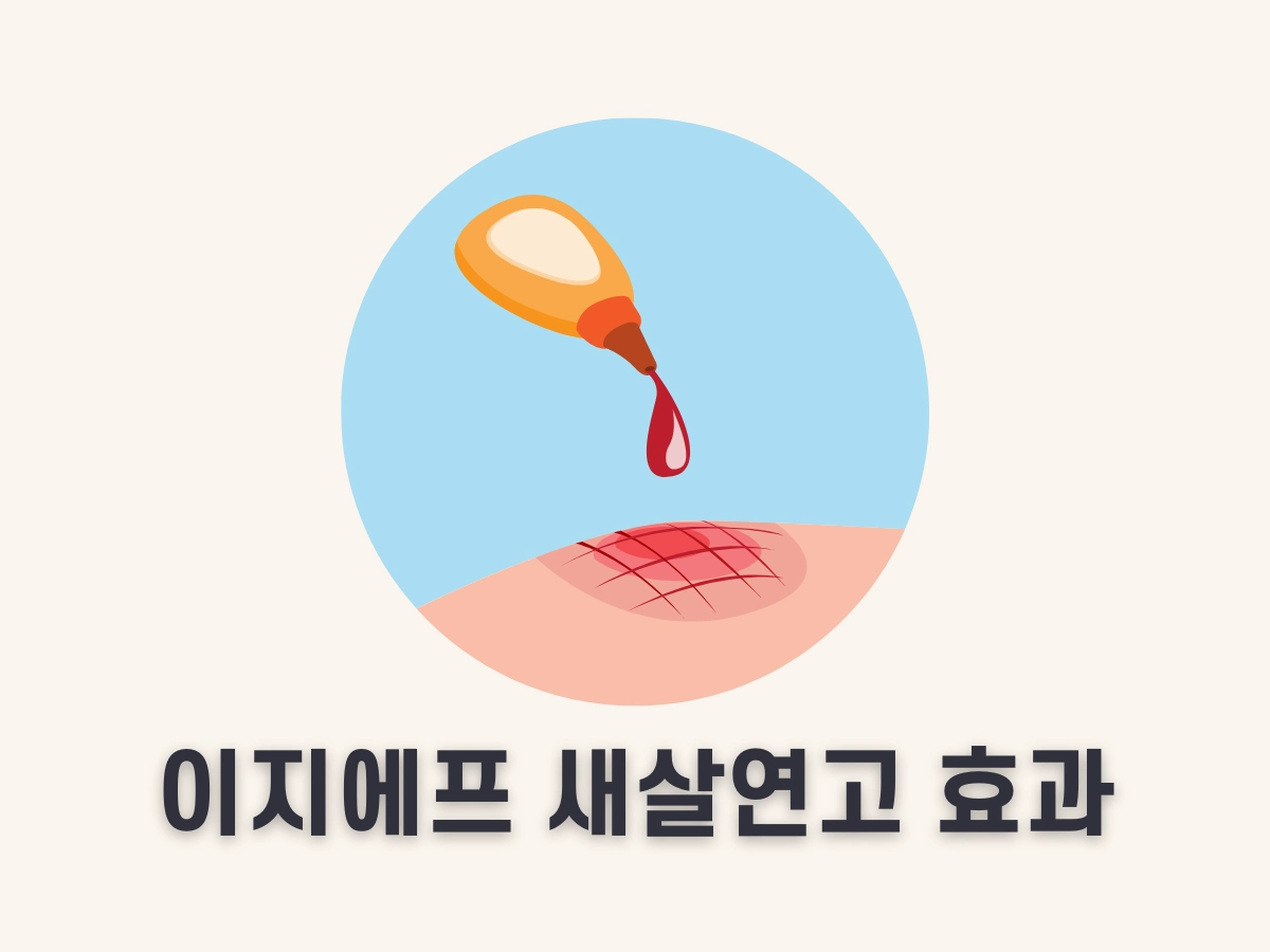이지에프 새살연고 효과
