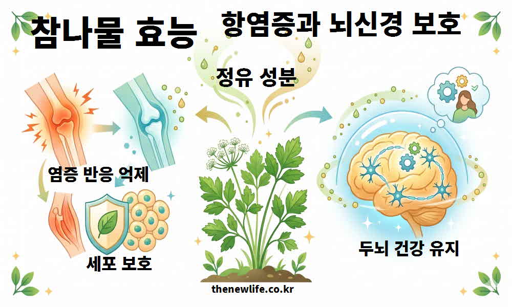 참나물 효능 항염증 뇌신경 보호