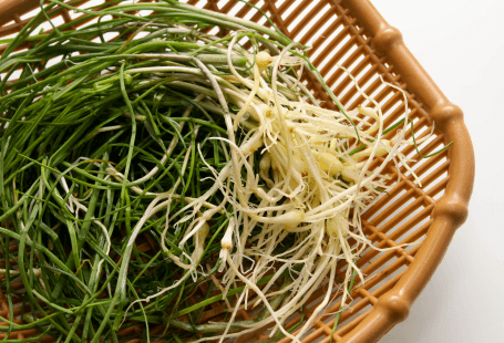 바구니에 담긴 달래