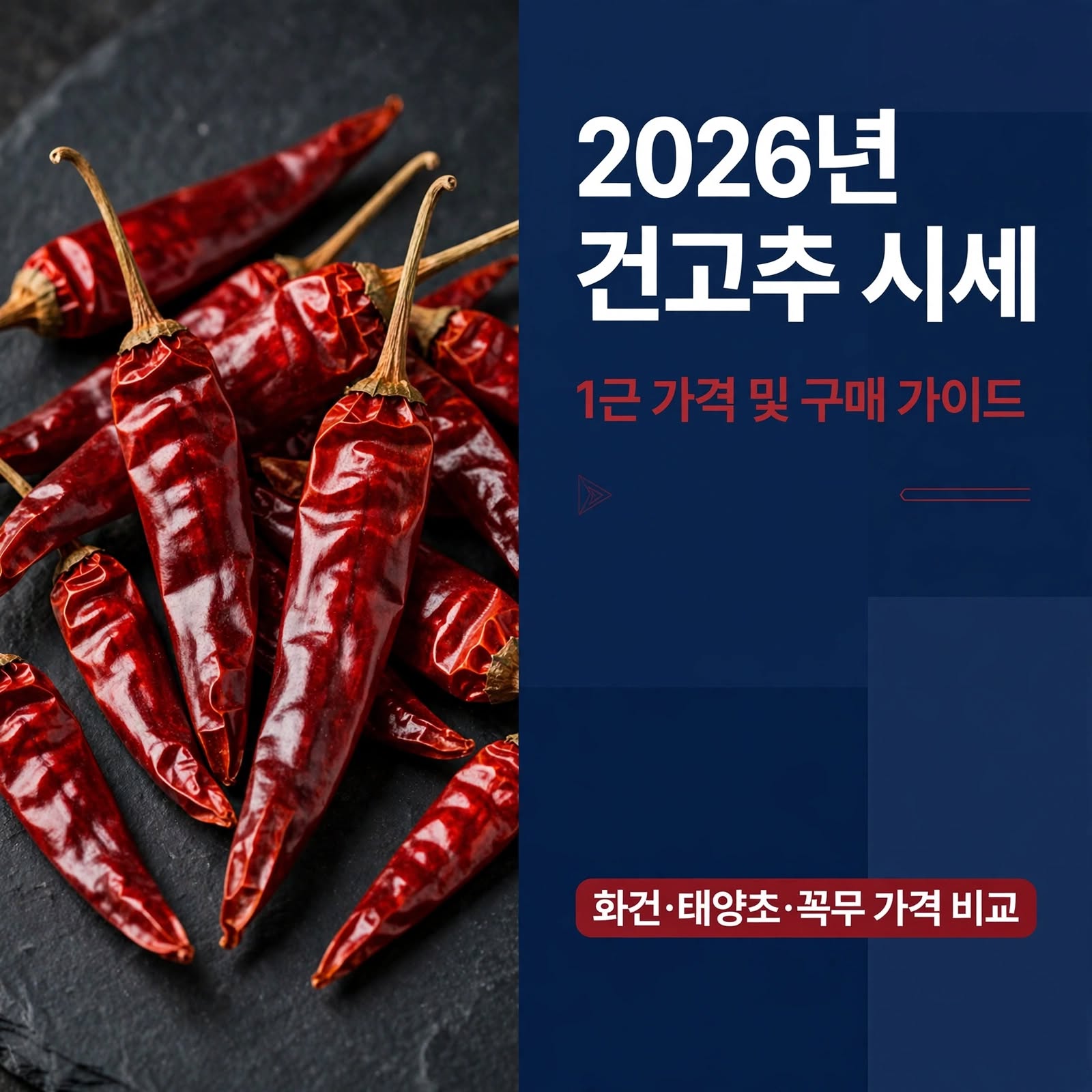 2026년 건고추 1근 가격과 화건 및 태양초 시세 비교 정리