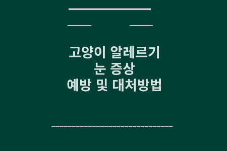 고양이 알레르기 눈