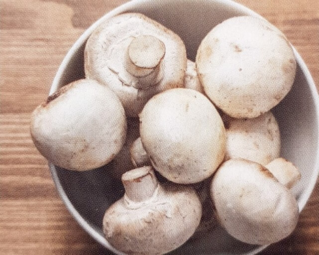 봄 제철 음식 추천