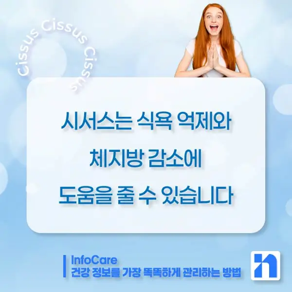 시서스 효능, 다이어트, 복용법