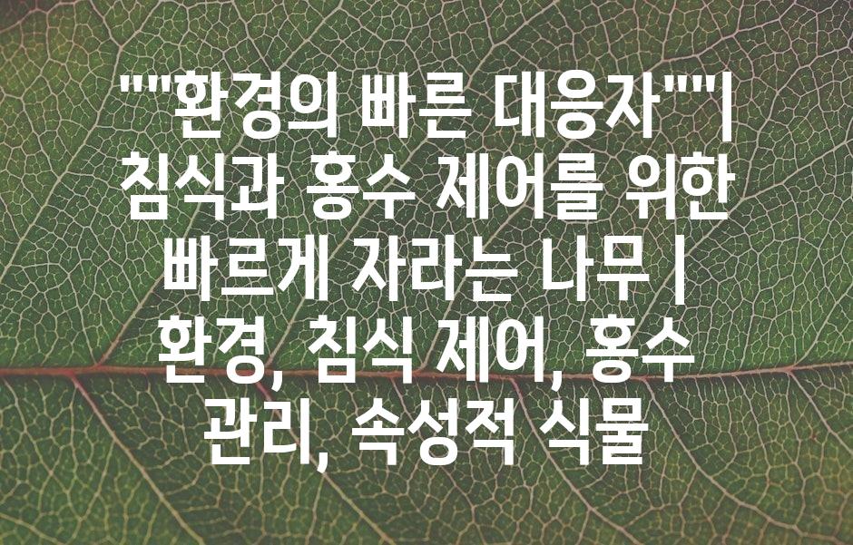 샘플 (43)