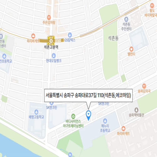 서울특별시 송파구 송파대로37길 110(석촌동,에코하임)