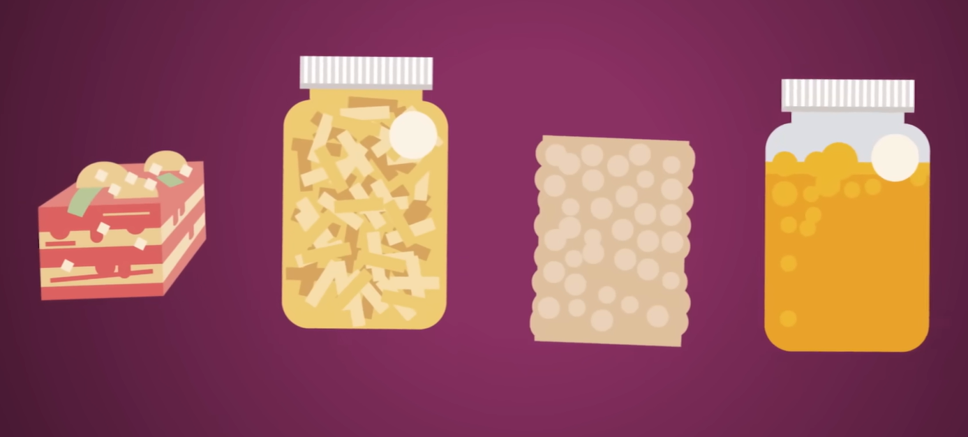 마이크로 바이옴이란