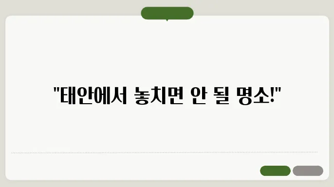 안면도 자연휴양림의 경치