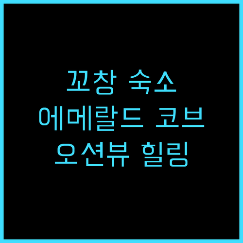 더 에메랄드 코브 코 창 추천 후기!..