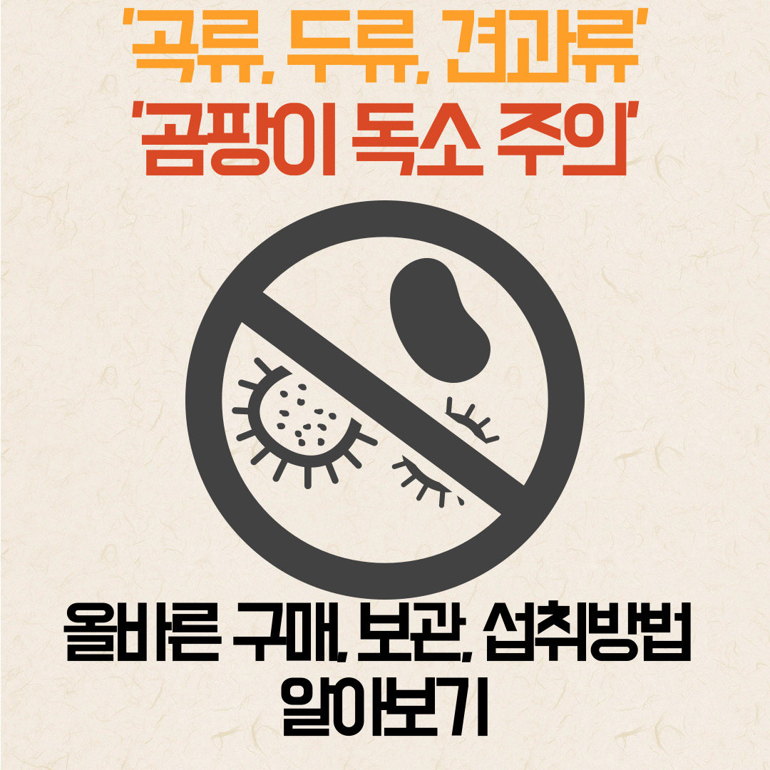 곰팡이독소