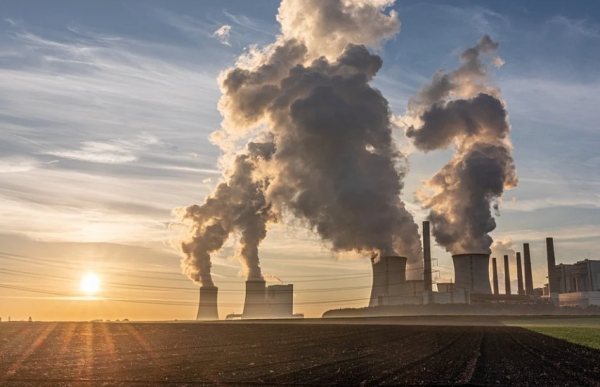 환경오염과 생태계 파괴