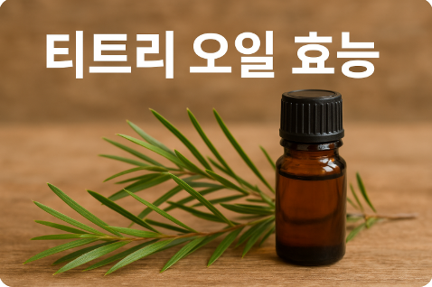 티트리 오일 효능