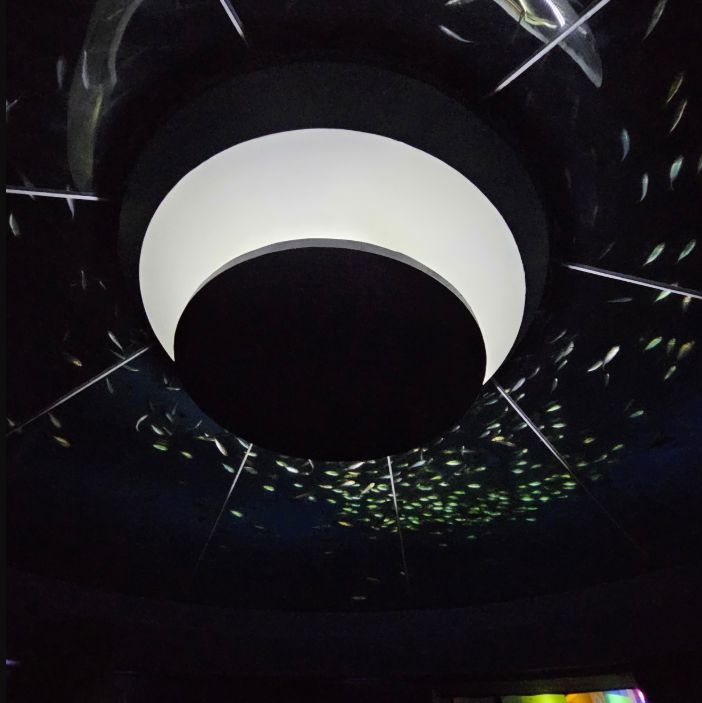 대구아쿠아리움