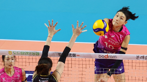 김연경 고향