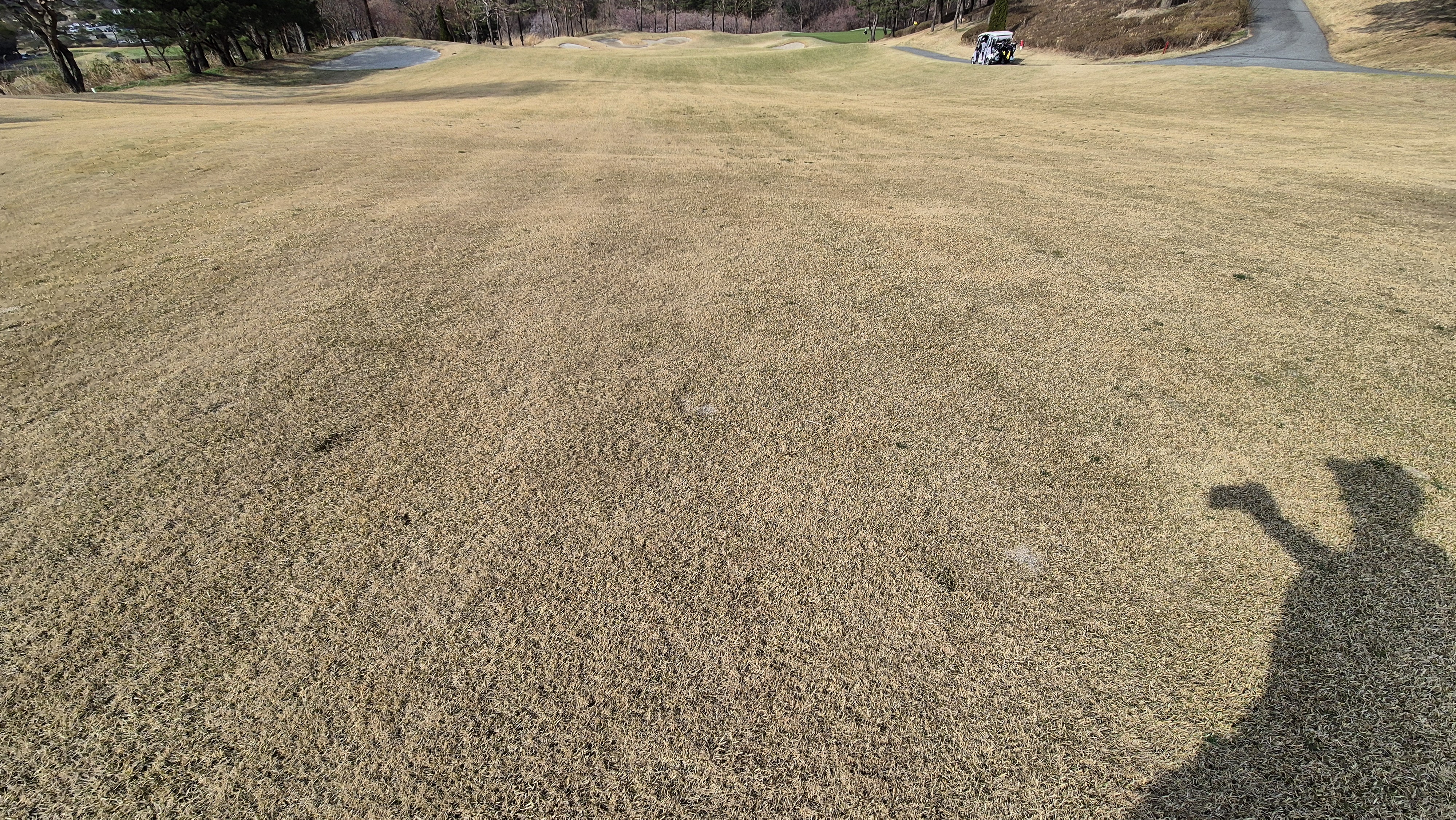 안성베네스트gc 동-남 코스 라운드 후기