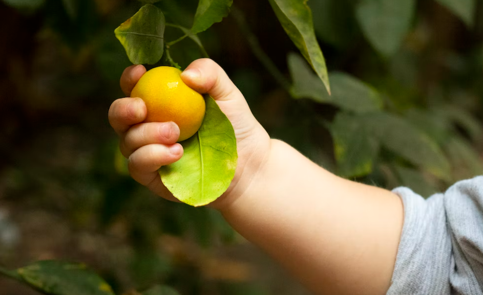 아기의 구강기 발달을 돕는 방법