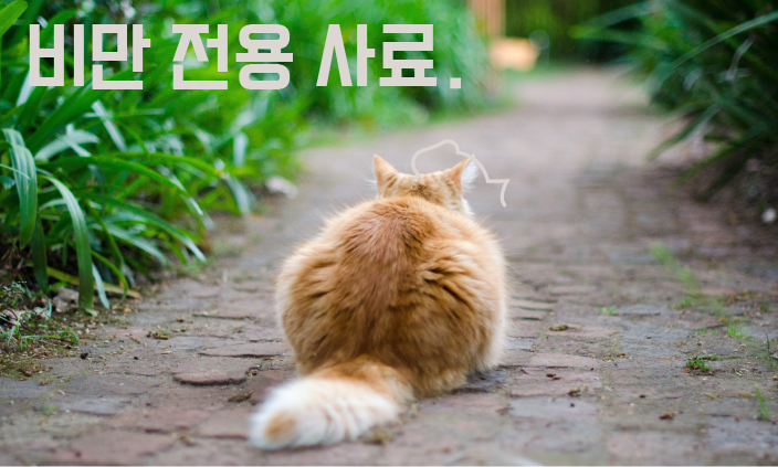 비만-사료