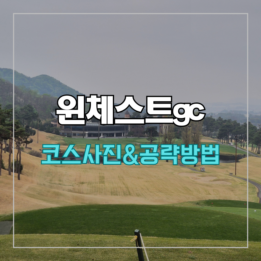 윈체스트gc
