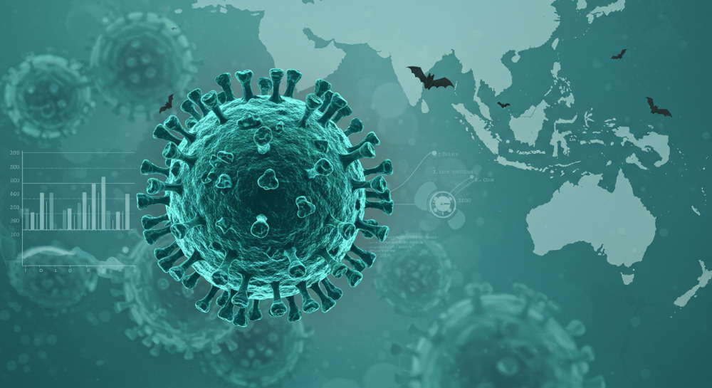 2025년 니파바이러스 완벽 요약 증상부터 치사율까지, '지금 바로 확인하세요'!