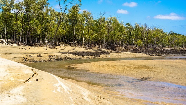65세 이상 실업급여 , 단기근로 신청- 신청절차, 실업급여액 수급영향, 주의사항