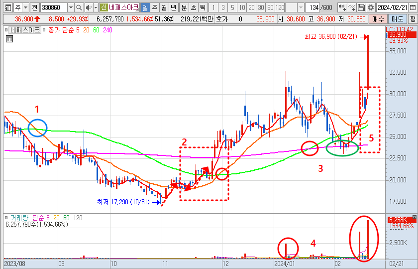 네패스아크 일봉 차트 분석 (24.2.21)