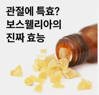 보스웰리아