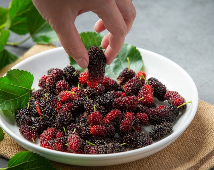 혈액순환에 좋은 음식