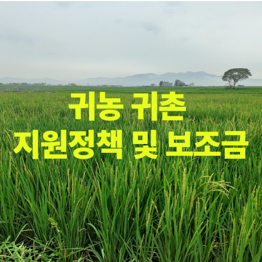 2025년 귀농귀촌 지원 정책 및 보조금