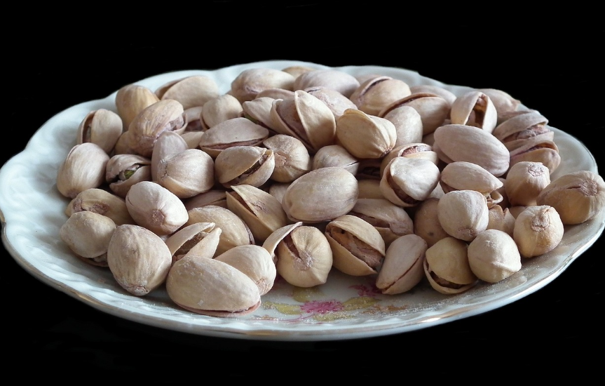 피스타치오알려지지않은정보