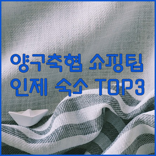 양구축협 로컬푸드 쇼핑 꿀팁 및 양구..
