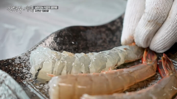 전혀무계획-자연산-대하회