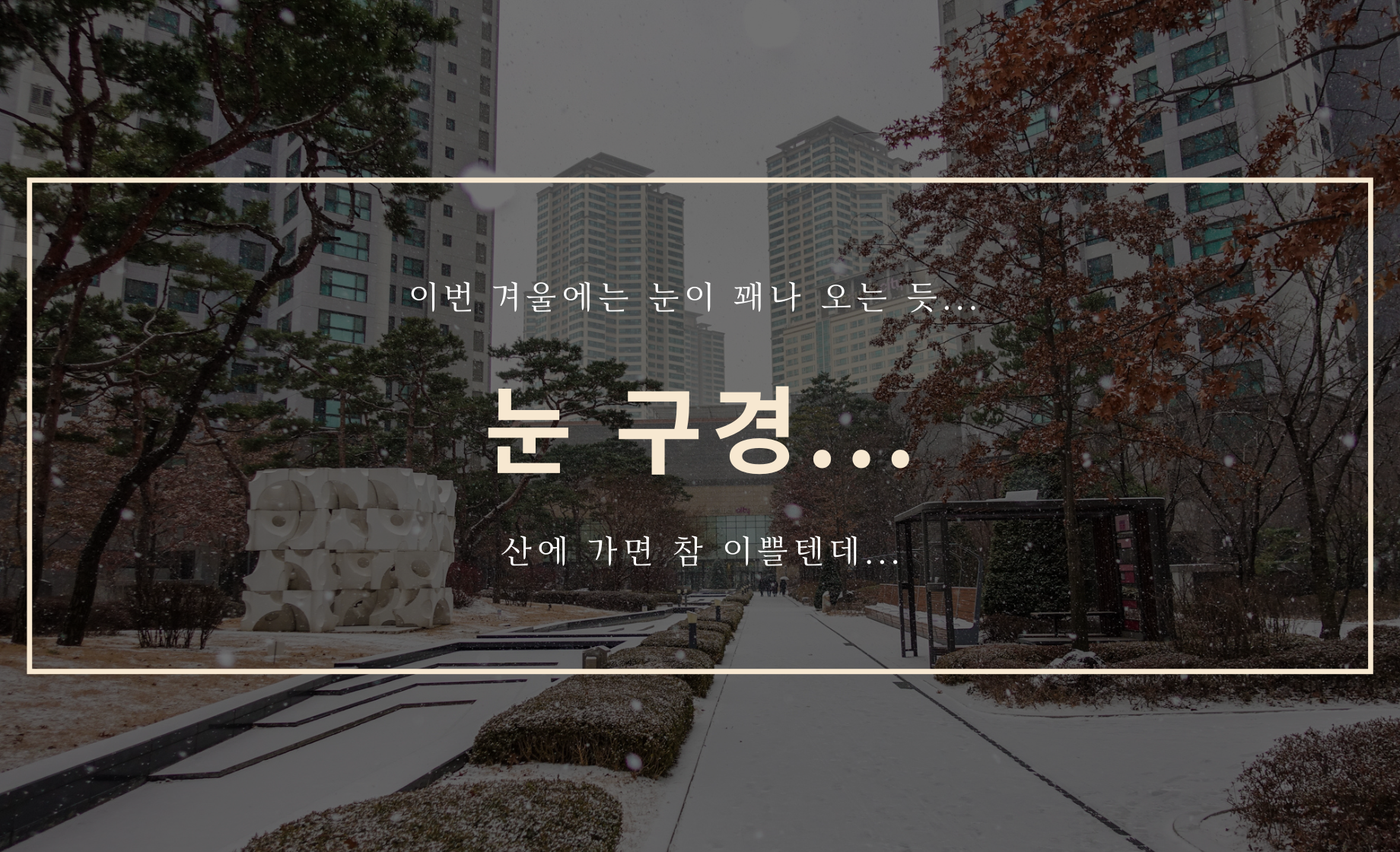 눈 구경