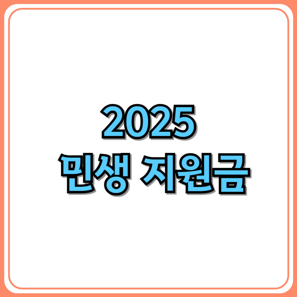 2025 민생 지원금