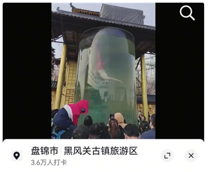 중국 랴오닝성 판진 인어공연