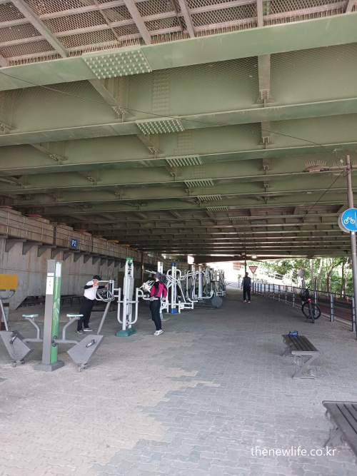 People using outdoor fitness equipment under a bridge – a realistic knee pain prevention alternative-한강 자전거길 아래 설치된 운동기구에서 하체 운동을 하는 사람들 – 무릎 통증 예방을 위한 현실적인 대안