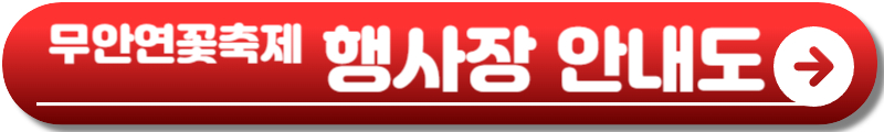 무안연꽃축제
