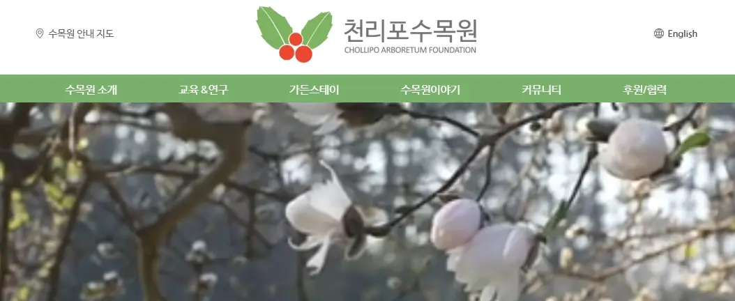 태안 튤립축제 주변 여행지 추천 TOP 5