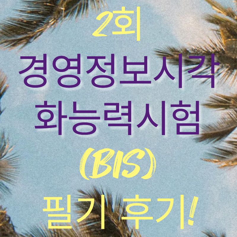 2회 경영정보시각화능력시험(BIS) 필기 후기 및 핵심정리