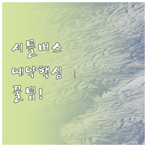 엘리시안 강촌 스키장 셔틀버스 예약과..