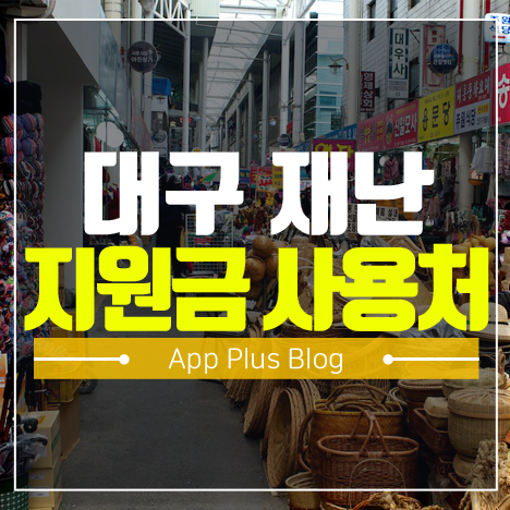 대전 재난지원금 사용처