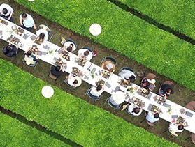 오후의 차밭체험사진,