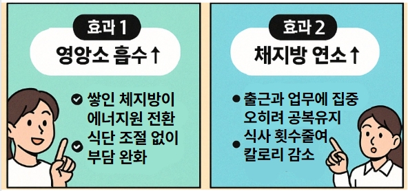 간헐적 다이어트의 효과가 적힌 만화 2컷
&quot;효과 1 영양소 흡수&quot;
&quot;효과 2 체지방 연소&quot;