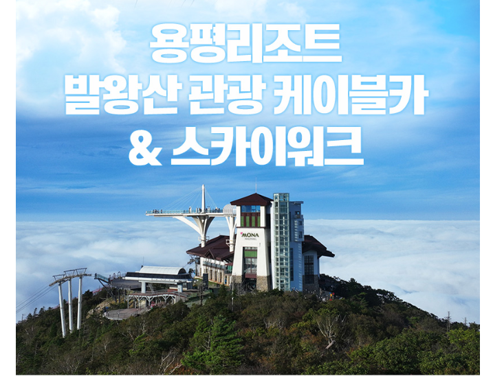 발왕산케이블카와 스카이워크를 지금 예매